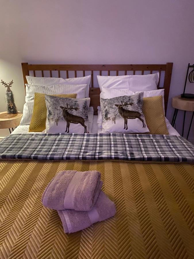 Apartament Kryjowka Pod Giewontem コシチェリスコ エクステリア 写真